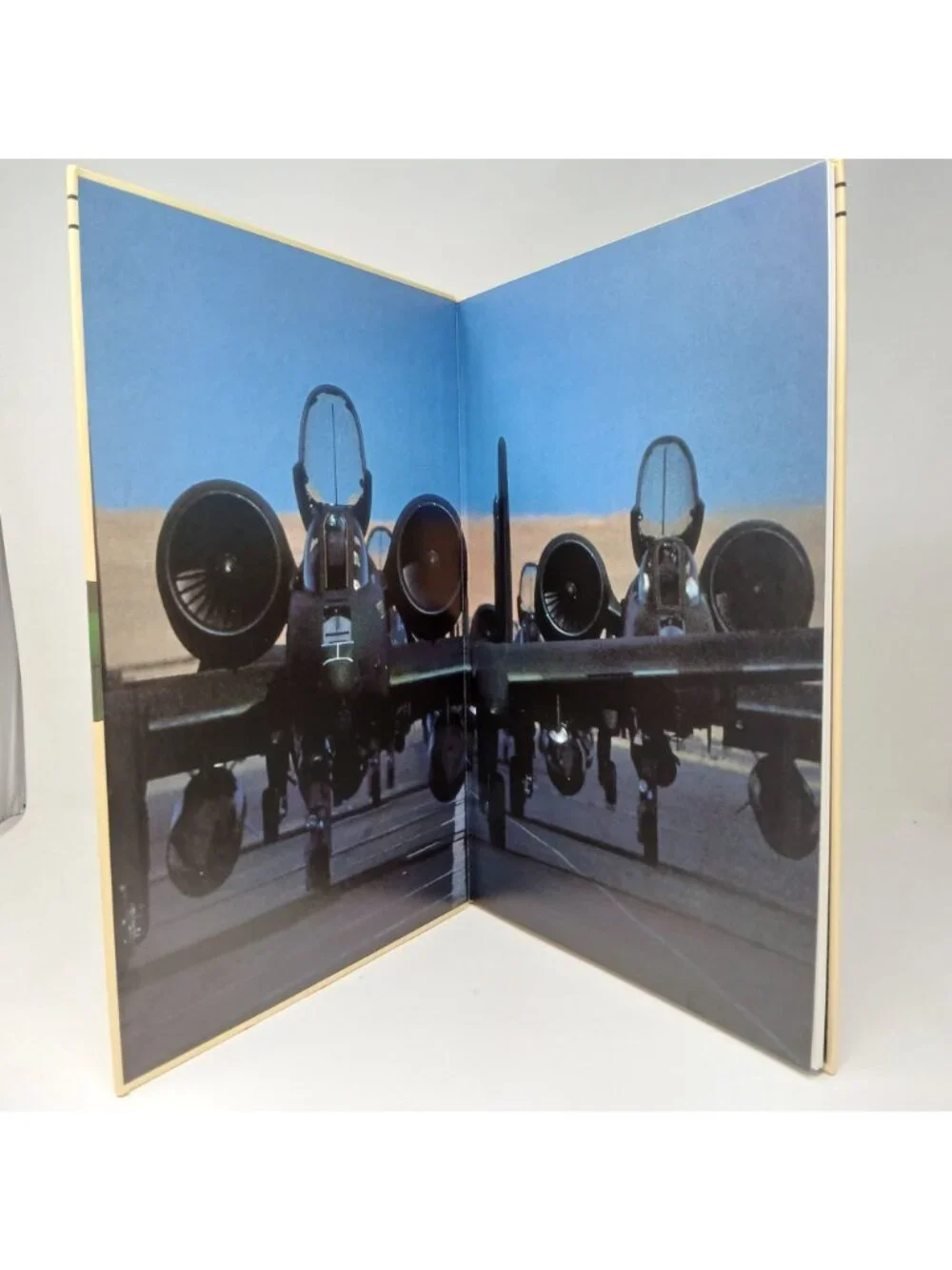 Modern Fighting Aircraft A-10 HC Bill Sweetman 1984 Profiles Photos VG #S-10